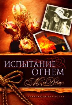 Испытание огнем. Книга 2