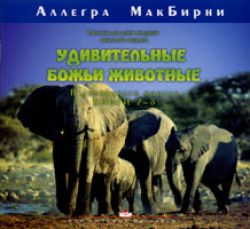 Удивительные животные 7-8