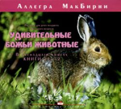 Удивительные животные 11-12
