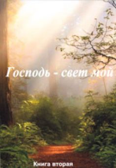 Господь - свет мой. Книга 2