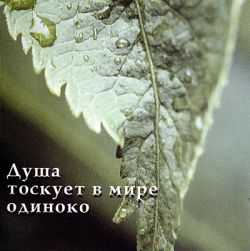Душа тоскует в мире одиноко