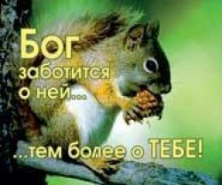 Бог заботится о ней… тем более о тебе