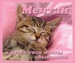 Мечтай. И пусть твои мечты сбываются