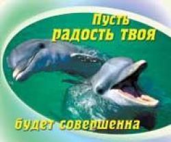 Пусть твоя радость будет совершенна
