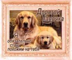 Дорогой папочка, я обязательно стану похожим на тебя
