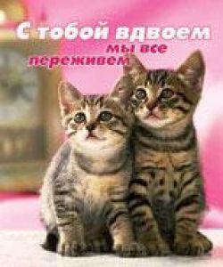 С тобой вдвоем мы все переживем