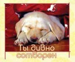 Ты дивно сотворен