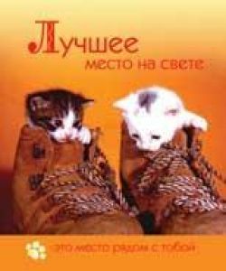 Лучшее место на свете - это место рядом с тобой