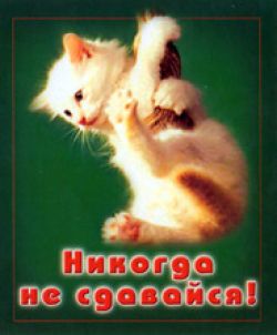 Никогда не сдавайся