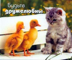 Будьте дружелюбны