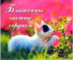 Блаженны чистые сердцем