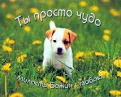 Ты просто чудо. Милость Божия с тобой