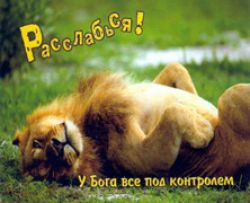 Расслабься! У Бога все под контролем