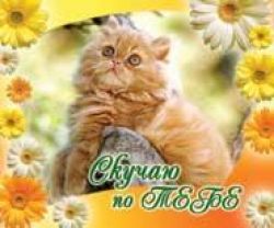 Скучаю по тебе