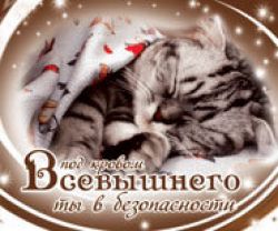 Под кровом Всевышнего ты в безопасности.