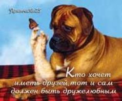 Кто хочет иметь друзей, тот и сам должен быть дружелюбным