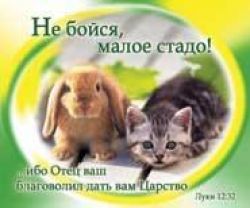 Не бойся, малое стадо! …ибо Отец благоволил дать вам Царство!