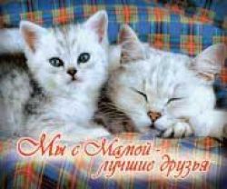 Мы с мамой - лучшие друзья