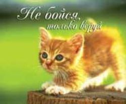 Не бойся, только веруй