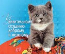 Удивительному созданию, доброму и нежному