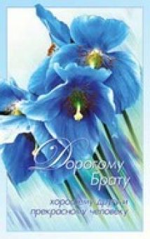 Дорогому брату.
