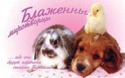 Блаженны миротворцы.