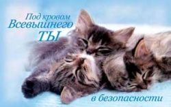 Под кровом Всевышнего ты в безопасности.