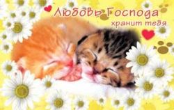 Любовь Господа хранит тебя.