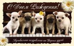 С Днем Рождения!