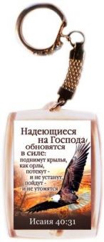 Надеющиеся на Господа обновятся в силе: поднимут крылья, как орлы...