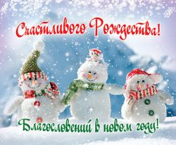 Счастливого Рождества! Благословений в новом году!