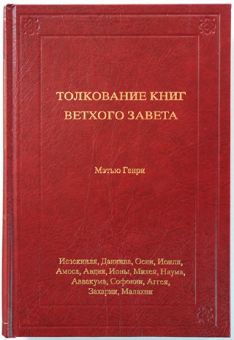 Толкование книг Ветхого Завета: 6 Том. Иезекииля - Малахии 