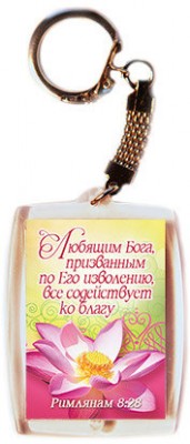 Любящим Бога, призванным по Его изволению, все содействует ко благу
