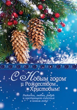 С Новым годом и Рождеством Христовым!  
