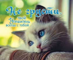 Не грусти, твой Утешитель всегда с тобой