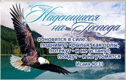 Надеющиеся на Господа обновятся в силе… Исаия 40:31