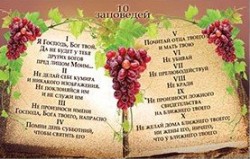 10 заповедей