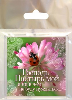 Господь - пастырь мой, я ни в чем не буду нуждаться. Пс. 22:1