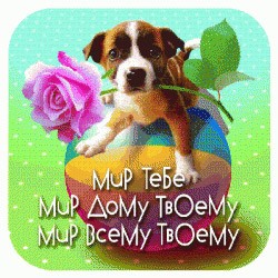 Мир тебе, мир дому твоему!